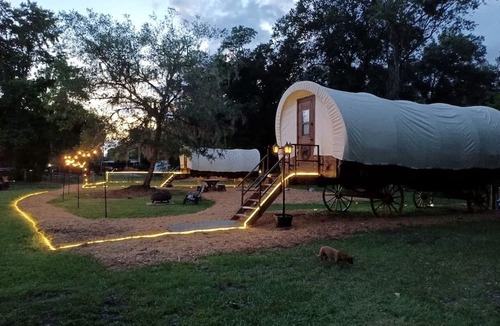 Putnam Hall Cabin | Soulful Glamping Experience with Highland Cows, Private Wagon & Nature in Melrose, Florida