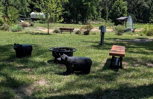 Putnam Hall Cabin | Soulful Glamping Experience with Highland Cows, Private Wagon & Nature in Melrose, Florida