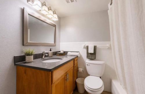 Beach Park Apartment | South Tampa Resort Retreat Pool Gym & Walkable Location