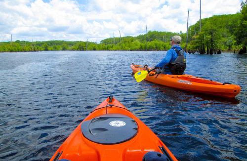 Wewahitchka Other | Stay & Paddle Free Lakeside Glamping Retreat
