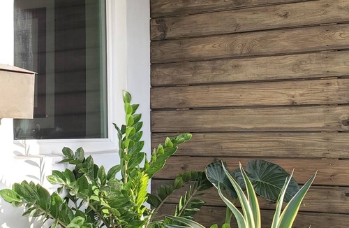 North Miami Beach House | Stylish family escape! Comfortable home featuring a beautiful outdoor area.