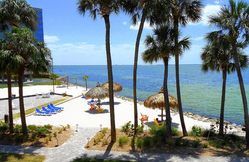 Rocky Point Apartment | Tampa Bay Waterfront Escape with Heated Pool, Beach Volleyball & Dining
