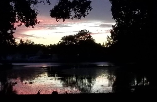 Carrollwood House | TAMPA VACATION HOME CLOSE TO EVERYTHING!