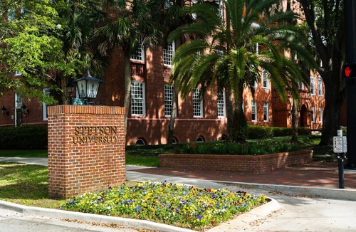 Rogers Deland House | The Arbor | Beautifully Restored 2BR Flat, Treetop Views, Stetson & Downtown