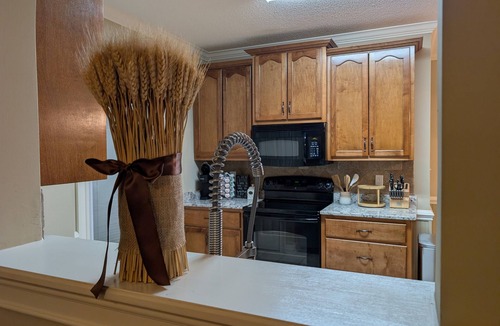 Houston County House | The coziest home right between RAFB and Perry!