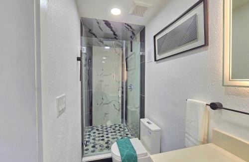 Town N County Park House | The Executive Landing , 1BR, 7 TPA Airport, AC, Free Pkng, Wine, Fast Wi-Fi