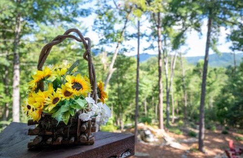 Hidden Lake House | Three Loves Cabin