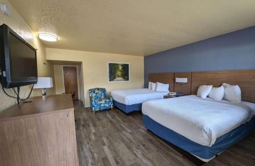 Gainesville Hotel | University Inn