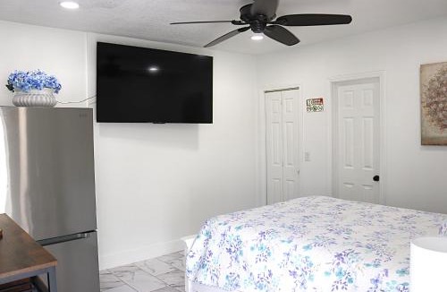 Citrus Park House | Urban Retreat at Carrollwood