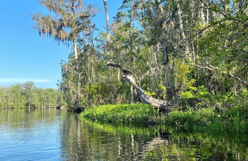 Crawfordville House | Wakulla River waterfront beautiful home directly on the river with dock