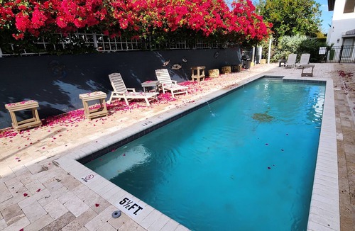 Winter Park Apartment | Walk The Downtown Village of Winter Park!