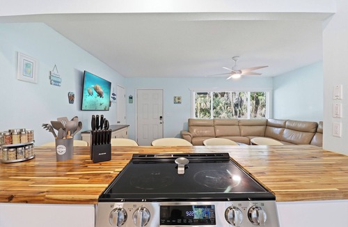 Crystal River House | Waterfront + Dock Free Kayaks Dogs OK Near Manatees & Springs