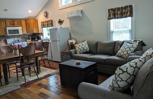 Livingston Manor Cabin | Waterfront property, perfect winter getaway, directly on the Willowemoc!