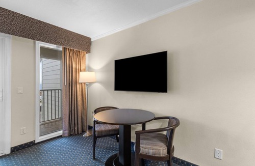 Rocky Point Apartment | Waterfront Studio Suite w/Tampa Bay Views