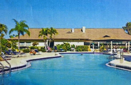 East Naples Condo | Welcome to The Salty Palm 30 day minimum stay