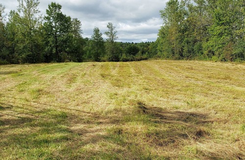 Town of Root RV Rental | Whitetail Meadows RV Campsite
