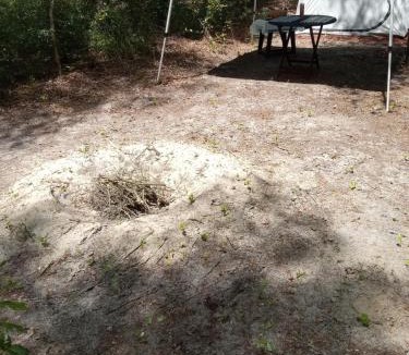Chiefland Other | Wilderness camp site