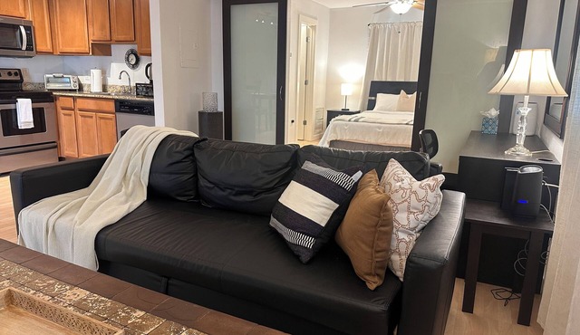 1BR Near Downtown & Airport