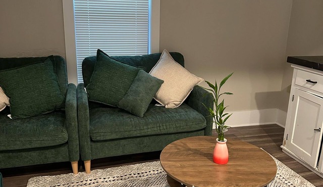 4-bedroom affordable house in downtown Grand Rapids with AC