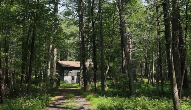 A peaceful, quaint cabin in the woods offers a country-side escape for couples, small families, and friends.