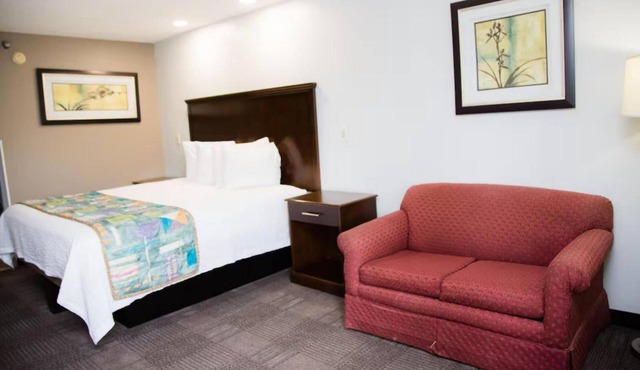 Affordable Room | Near Oak Tree Nature Preserve | Free On-Site Parking!