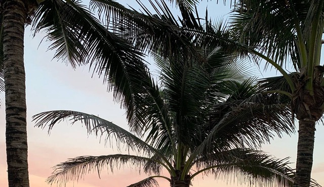Beachfront Paradise! GREAT FAMILY Vacation! SALTWATER HEATED POOL