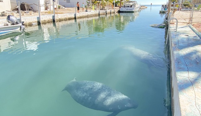 Boater's Delight 10 Miles from Key West!