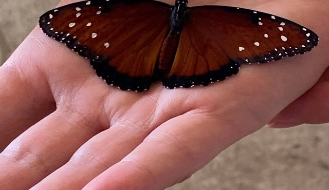 Butterfly House – Organic Garden Retreat in Popular Golf Community