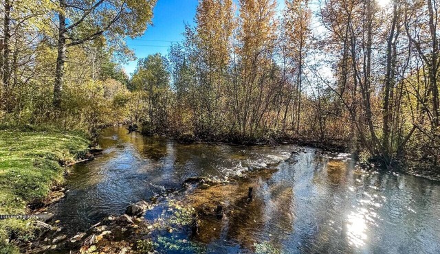 Cedar River Home-Pet Friendly!