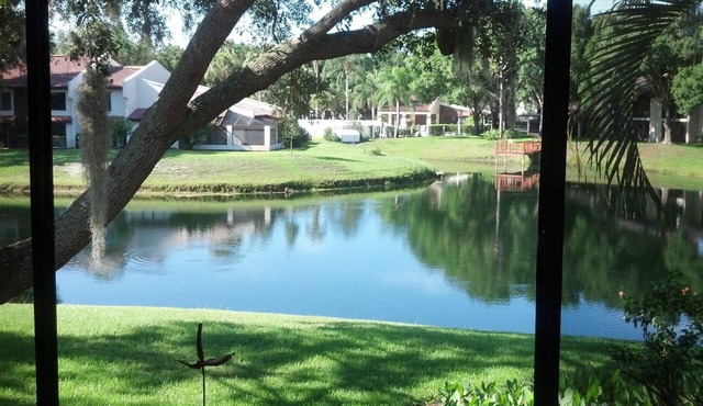 Centrally Located Lakefront Luxury in the Heart of Tampa Bay