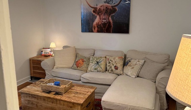Charming 2-bedroom apartment in cool Kingston with WiFi, AC