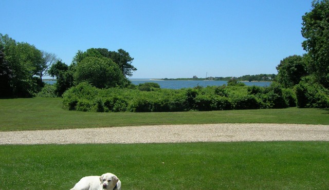 Classic Hamptons Cottage with Boating and Stunning Water Views
