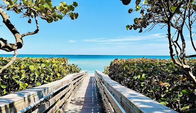 Coastal Wave Oasis