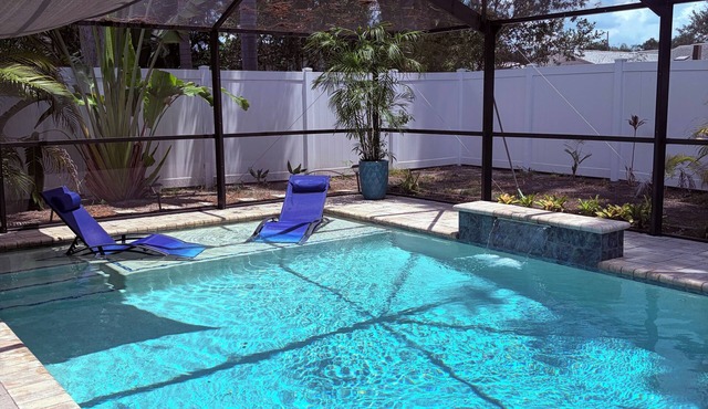 Comfortable home in Tampa with Saltwater Pool