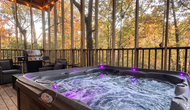 Couples Retreat | Screened Deck, Hot Tub & Outdoor TV · Sautee Nacoochee, GA in Sautee Nacoochee