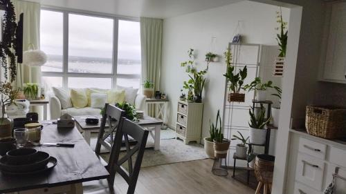 Cozy 19