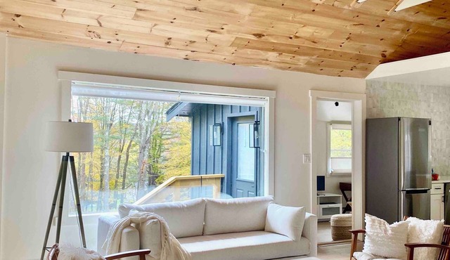 Cozy Cabin Forest Views Perfect Winter Escape