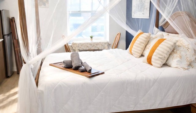 Cozy Studio Downtown Detroit Steps from Wayne State University