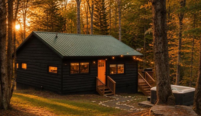 Creekside Modern Cabin Sauna Hot Tub Niksen Den