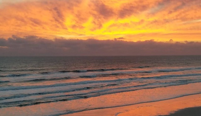 Direct Oceanfront - Most Colorful Condo On Beach
