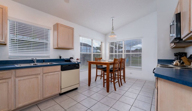 Disney, quiet, beautiful, south facing, lake view, pool, modern, luxury