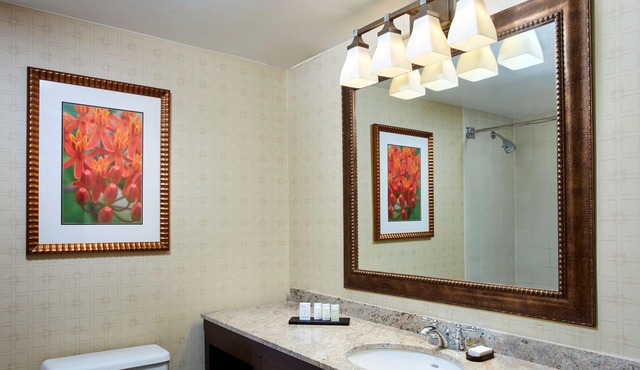Embassy Suites by Hilton Parsippany