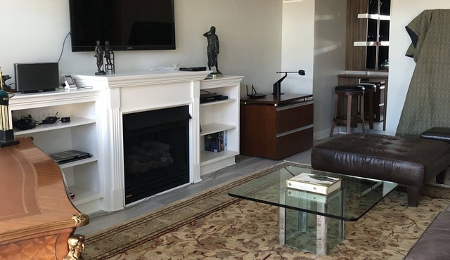 Expansive, Bright Condo with Volume Ceilings. Extra office, conference room. in Birmingham