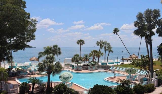 Explore St. Pete's Gems | Artistic Discoveries & Natural Wonders Await