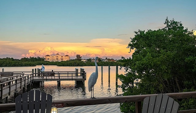 Family Getaway! Two Amazing Units, Kitchen, Bbq Facilities, Outdoor Pool!