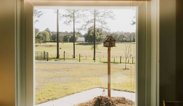 Farm stay with gorgeous view! Come stay at the Bird House on Nutbird Hill Farm.