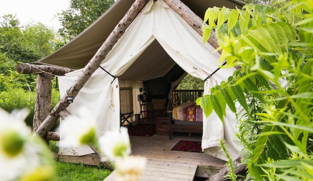 Firelight Camps in Ithaca