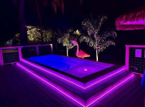 Flirty Flamingo saltwater pool Kayaks Sleeps 8 Old Homasassa fenced yard 1 Dog OK