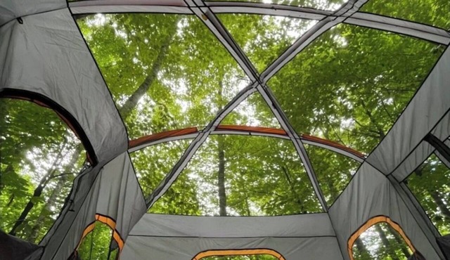 Forest Camping Near Bethel Woods, 15 minutes to Bethel Woods Concerts, Casino,