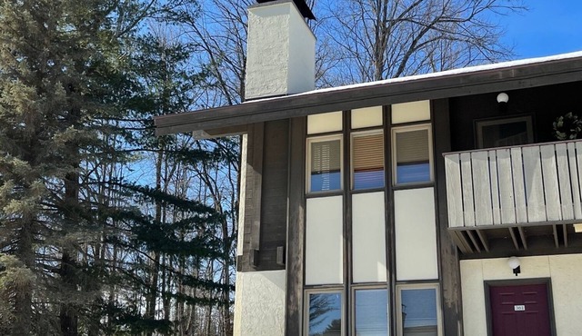 Great Value- 3 day min -BOYNE MOUNTAIN - MOUNTAIN VILLA - 3bedrm 2 bath